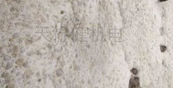 污水泡沫現場 污水泡沫現場