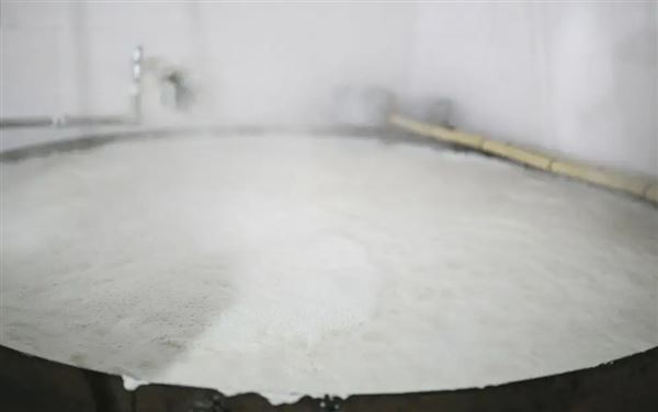 豆制品泡沫.png 豆制品泡沫.png