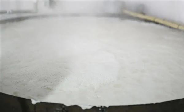 酵母發酵泡沫.png 酵母發酵泡沫.png