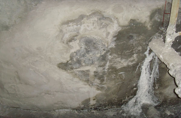 污水泡沫處理設備 污水泡沫處理設備