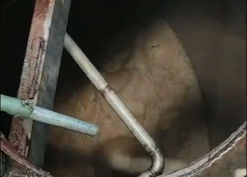 生物提煉泡沫 生物提煉泡沫