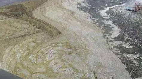 微信圖片_20220413152219.png 微信圖片_20220413152219.png