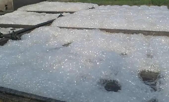 泡沫.jpg 泡沫.jpg